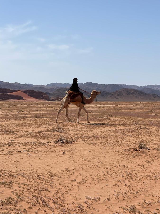 Wadi Rum Desert Camp Zewnętrze zdjęcie