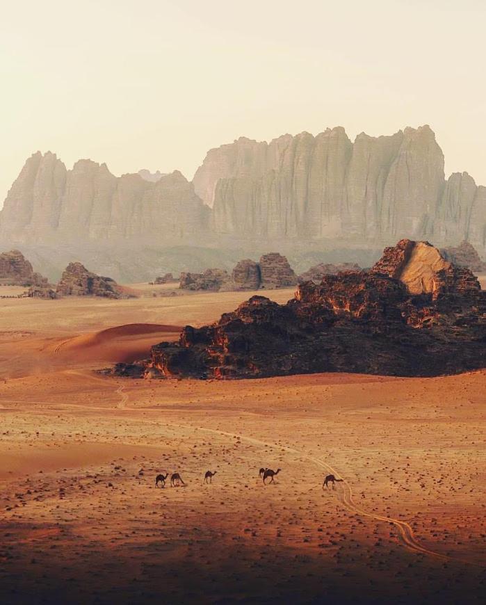 Wadi Rum Desert Camp Zewnętrze zdjęcie